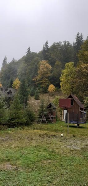 Cabana Valea Stanciului Stefan